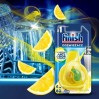 Odświeżacz do zmywarek FINISH ANTI ODOR 1szt. Mix